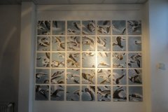 DSC00549