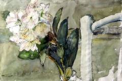 Hanna Bergmann, Rhododendronblüten