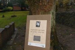 Ehrenfriedhof_Ratzeburg - St.Georgsberg - 18.11.2012