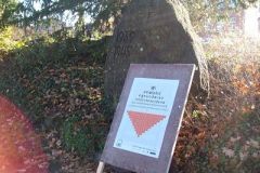 Denkmal Ratzeburg Unter_den_Linden - 19.11.2012