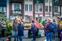 So-schmeckt-die-Region-1270804