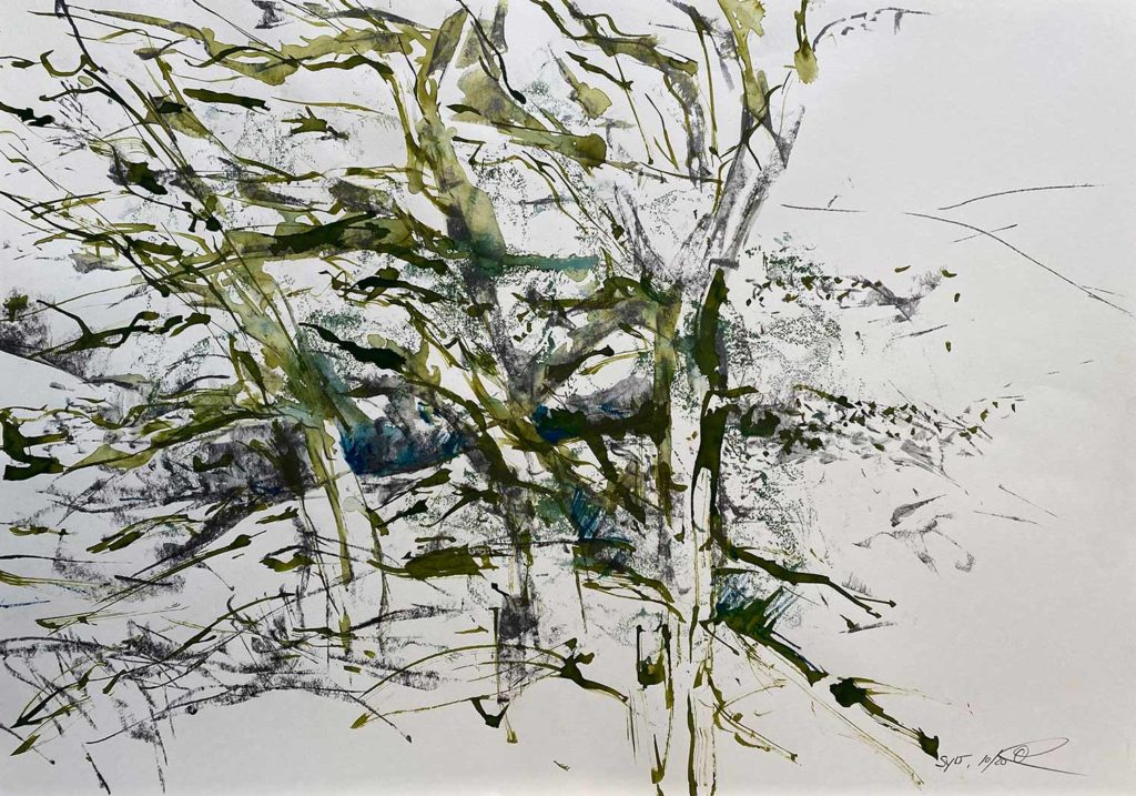 Claudia Kiekenbeck