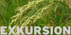 Exkursion