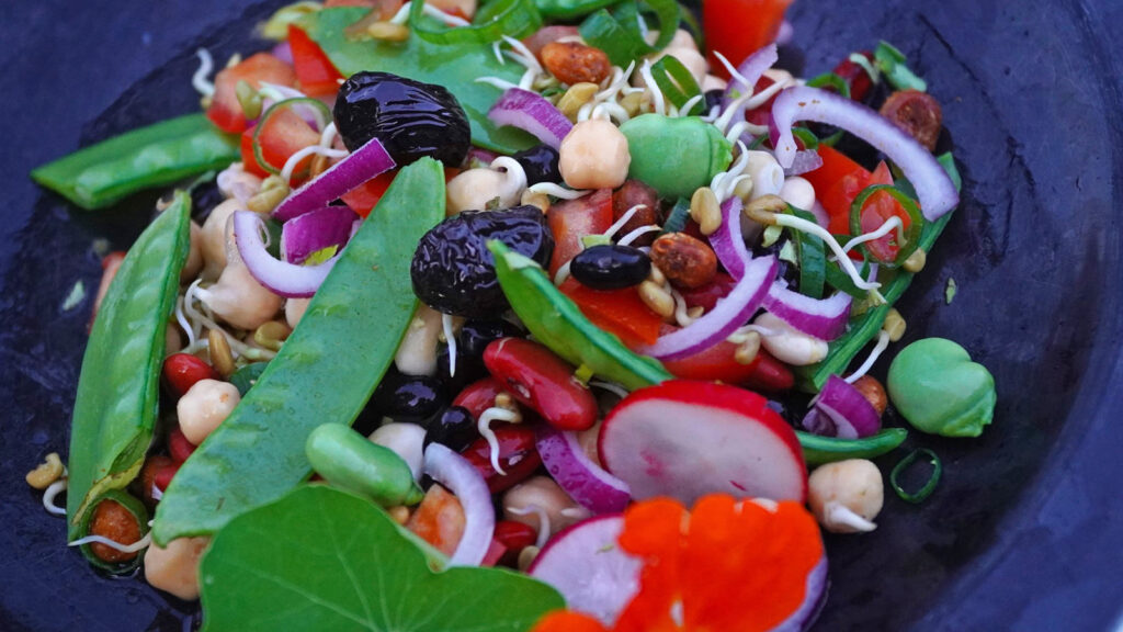Hülsenfrüchte, botanisch Leguminosen – die verkannten Genies! | Koch- und Backkurs | Foto: Christian Egelhaaf