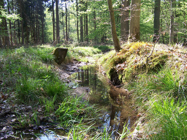 museum_im_wald.jpg